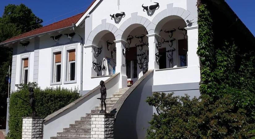 Afrika egy szelete a Balatonnál – különleges élmények Balatonedericsen