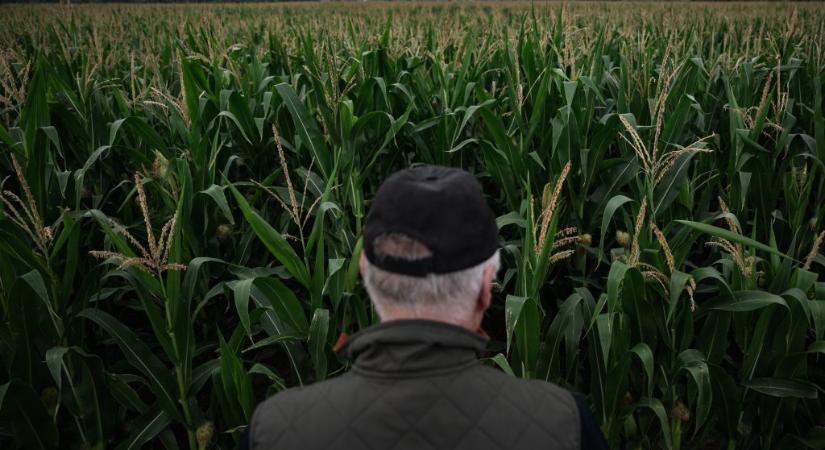 „Ami most zajlik az országban az katasztrófa. Sírni tudnék” – szakértők sürgetik a vízhiány elleni összefogást