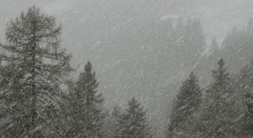 „Soha nem hallasz ilyen esetekről” – Mezítláb indult el a hóviharba, majd egy fagyasztó mögül került elő 10 év után a férfi