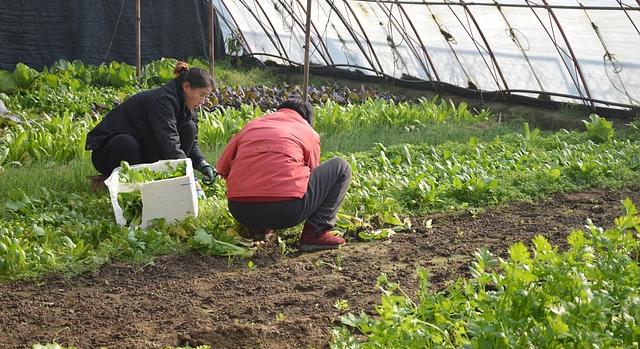 Elindult az ENAG projekt ingyenes digitális tanulási platform a női agrárvállalkozók képzésének támogatására