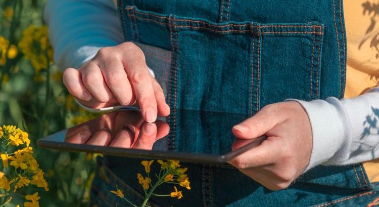 Módosult a KAP: könnyítés jön a kicsiknek