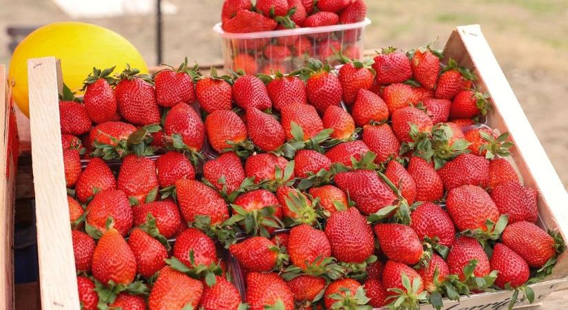 Itt a szakértők jóslata: drágának ígérkezik az idei eper