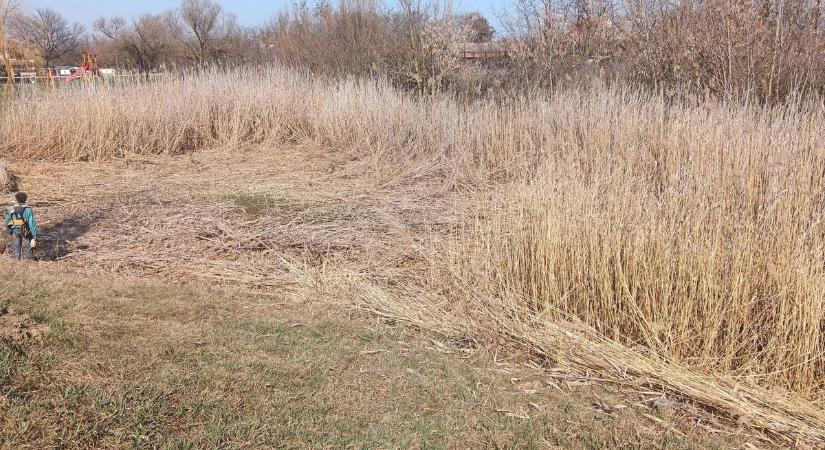 A vízibiciklikkel együtt a tó vize is eltűnt, nem törődött bele a jászkunsági falu