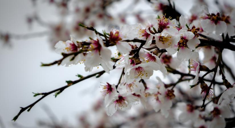 Orvosmeteorológia: ma lesz a leghidegebb a héten