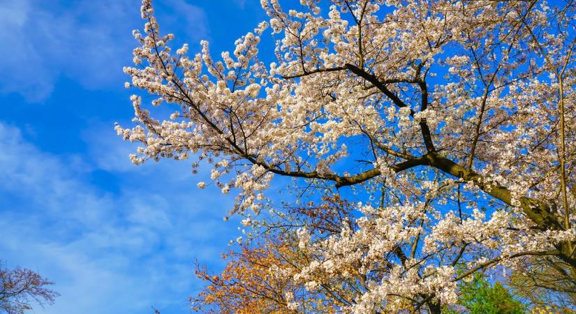 Kétarcú nap jön: napsütés és eső egyszerre támad