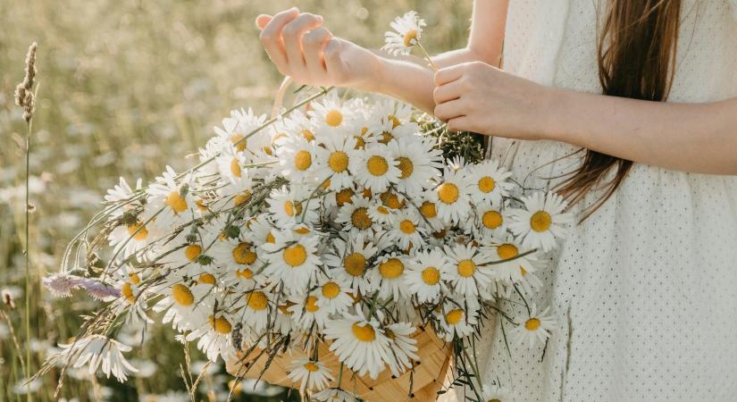 Havi horoszkóp 2026. április – A hosszabb nappalokkal kibontakozik a kreativitás is