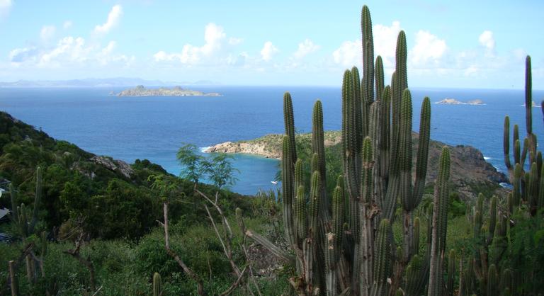 Felfalja őket a tenger, de mégis építik az óriáshajókat