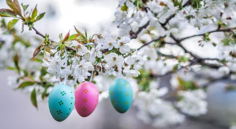Húsvéti kézműves foglalkozás és ingyenes kiállítás is várja a pécsieket