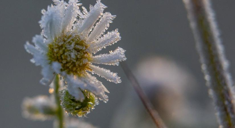 Nem hülyeség kedden felvenni a télikabátot