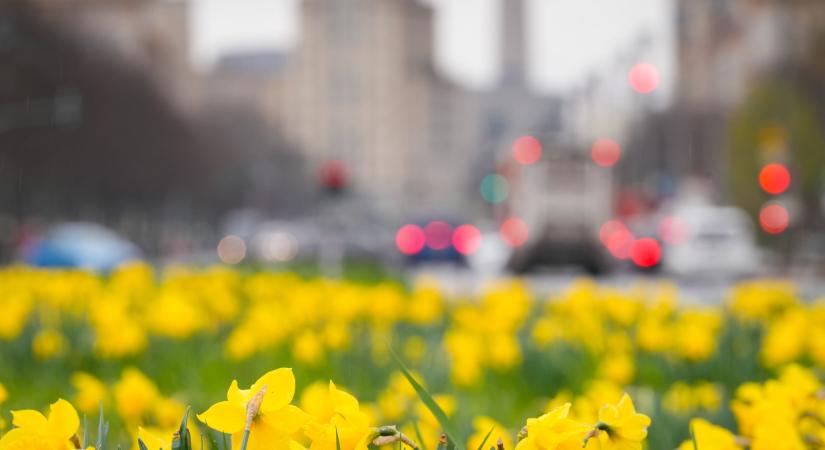 Már csak pár napot kell kibírnunk, húsvétkor berobban a tavasz