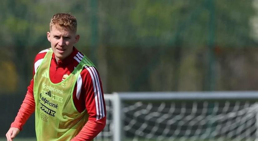 Fiatal szívek, új remények – formálódik a jövő a magyar válogatottnál