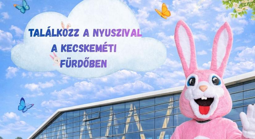 A Nyuszi is ellátogat a Kecskeméti Fürdőbe, ahol különleges szaunaprogramokat kínálnak