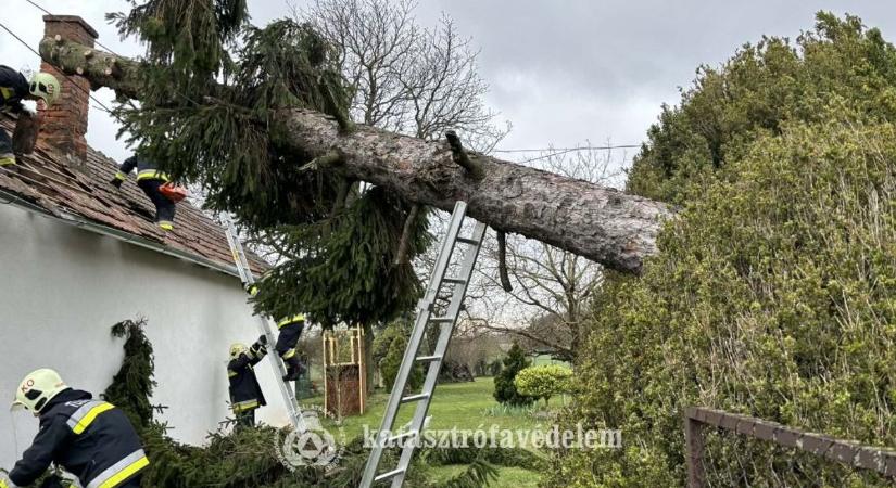 Viharmérleg Zalában: majd' 300 helyszínen zúgtak a motorfűrészek négy napon át