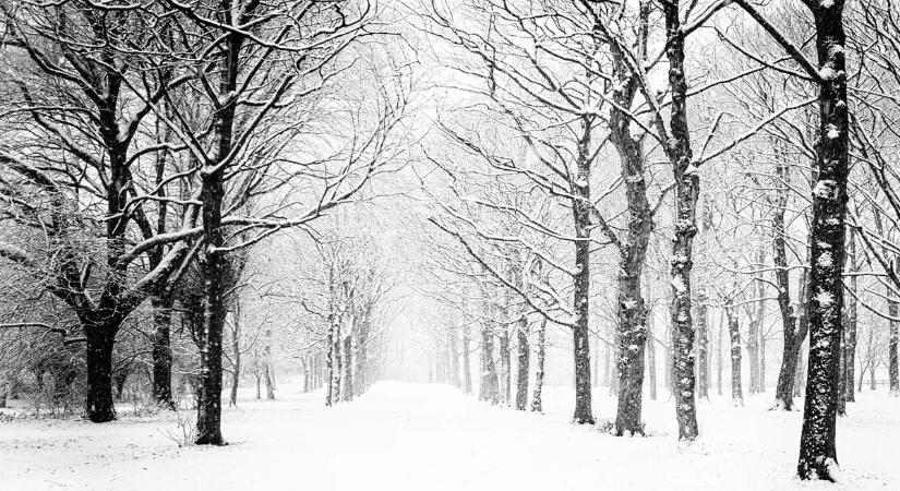 Lehullott a hó Bánkúton! - varázslatos a látvány