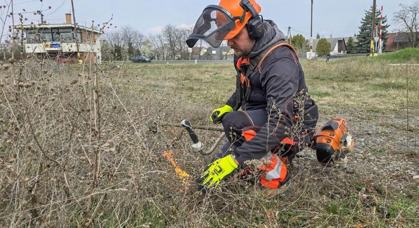 Mindenki megfogta a munkát közös faluszépítésen - még a polgármester is füvet nyírt