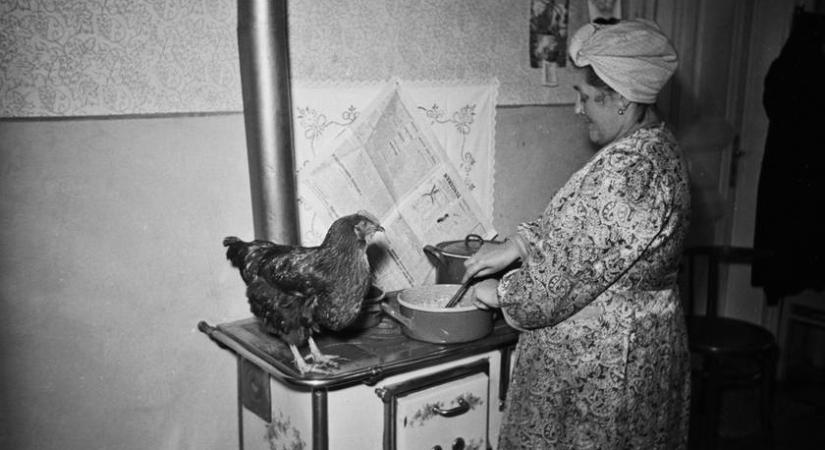 Te tudod, miből készül a gánica? 6 népies étel, amit kevesen ismernek