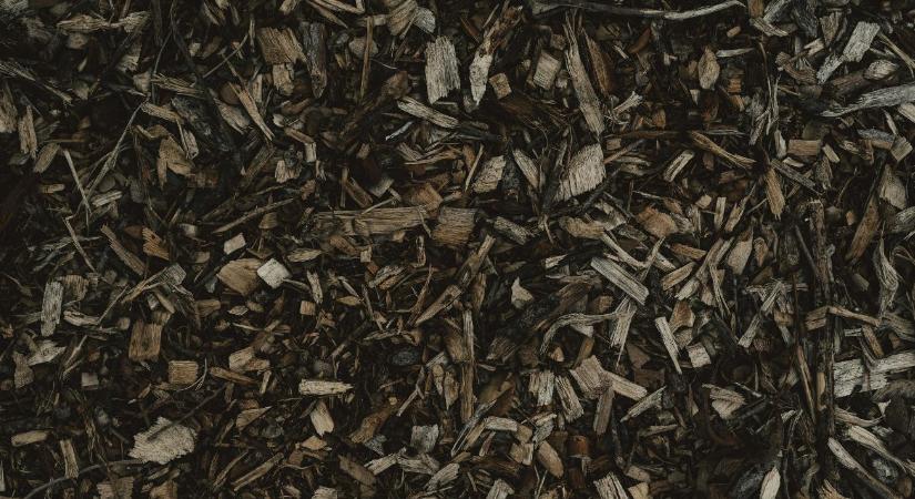 Jól vigyázz, most nem szabad elrontanod ezt a kertben!