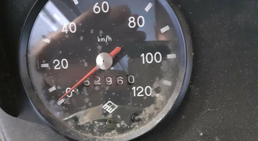 26 év után látta meg a napvilágot a „Csokitrabi” – Irén néni garázsából szabadult! (galéria)