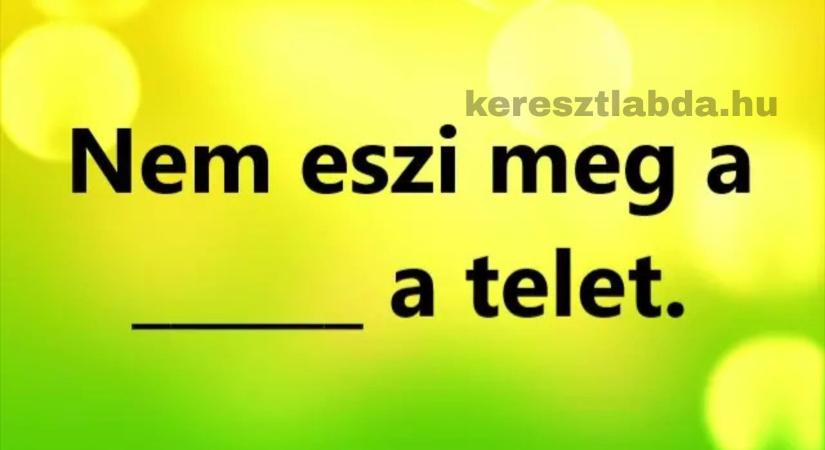 Napi közmondás feladat: Melyik állat nem eszi meg a telet? Biztosan tudod?