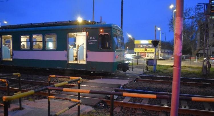 Elütött a HÉV egy mobilját nyomkodó 14 éves fiút Óbudán, életveszélyben van