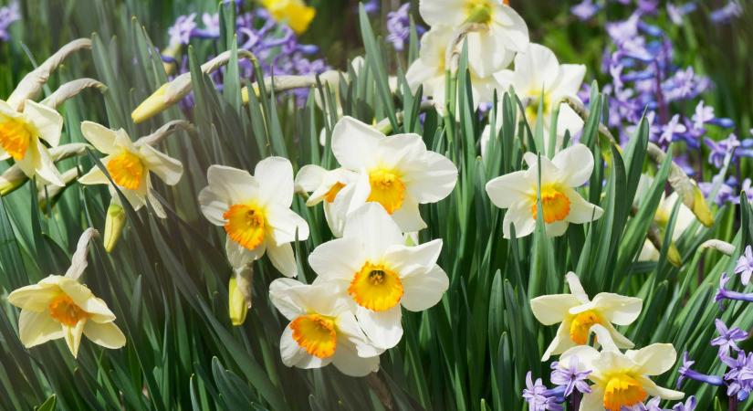 Akár 20 Celsius-fok is lehet húsvétkor – Frissítették az áprilisi előrejelzést