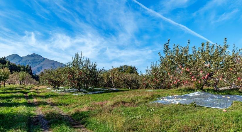 Itt a nagy településlista - összegyűjtöttük, hol vonhatóak ki művelés alól a zártkertek