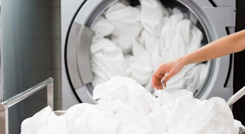 A magyar mosoda, ami 100 üzletre tör a régióban