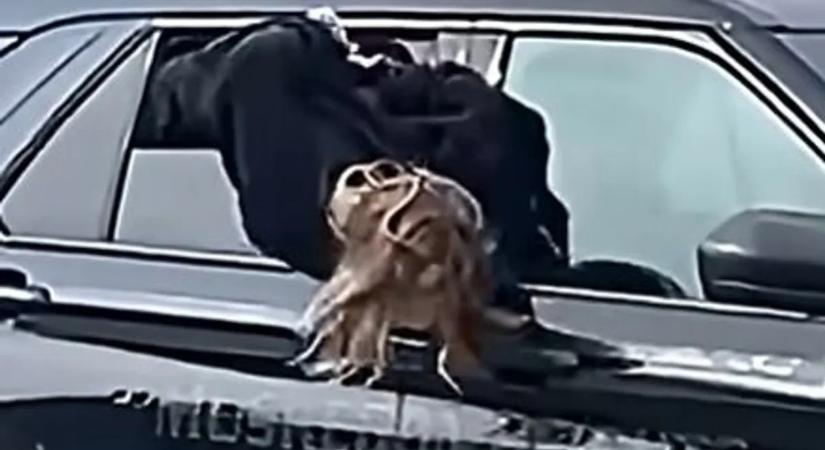 Ilyet se látni minden nap! Bilincsben mászott ki a rendőrautó ablakán egy nő – videó