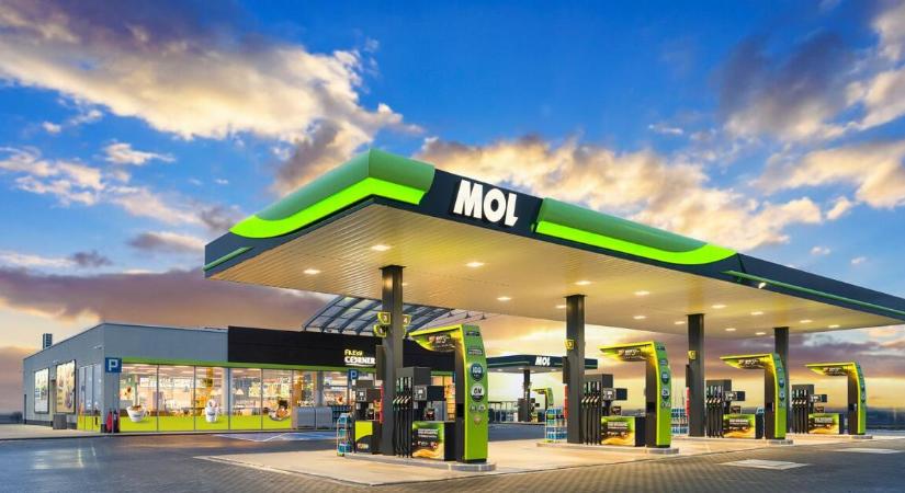 A Mol egyik felsővezetője részvényeket adott el