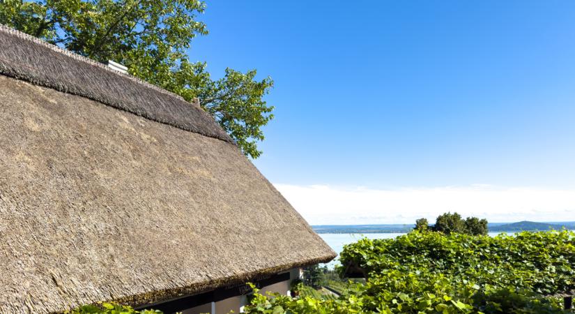 Sokkoló, ami kiderült a szombati 6,5 milliárdos lottónyereményről: erre nagyon kevesen számítottak