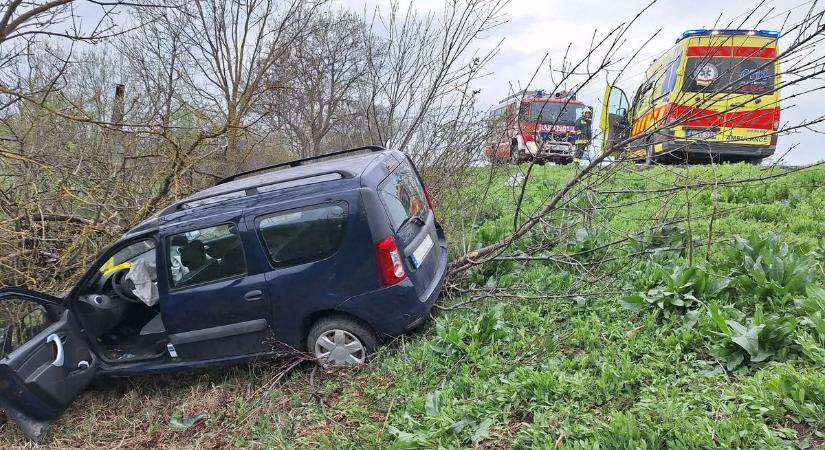 Árokba hajtott egy autó Besenyszögnél, két fát is ki kellett vágni a mentéskor