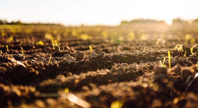 Talajgazdálkodás: nem elvezetni, hanem megtartani kell a vizet