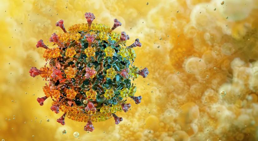 Megtörtént, amitől féltek: embert fertőzött és Európában is megjelent egy új vírus