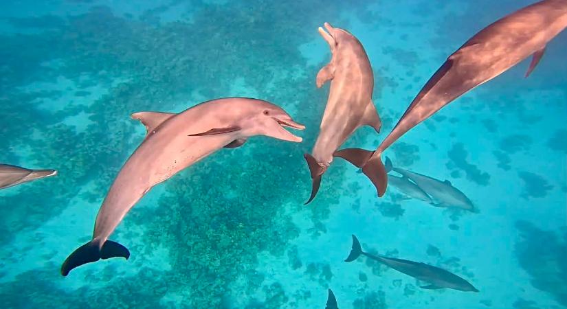 EGYIPTOM TURIZMUSA LEHET AZ IRÁNI KONFLIKTUS NYERTESE