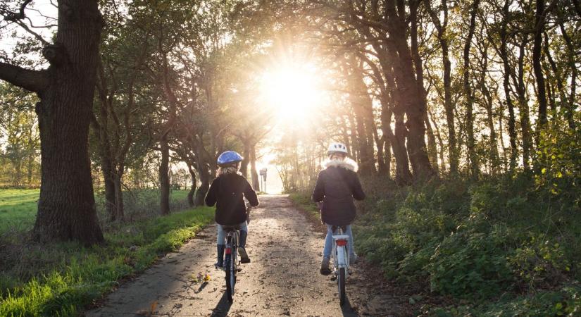 Létezik teljesen biztonságos sport egy gyermeksebész szemével? Persze. A sakk