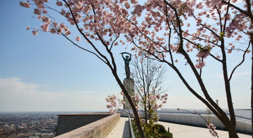 Húsvétkor nyitja meg kapuit a megújult Citadella: Ingyenes piknikkel várják a látogatókat