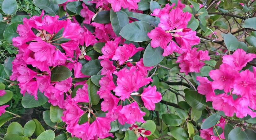 Újra látogatható lesz Zala két különleges csodája