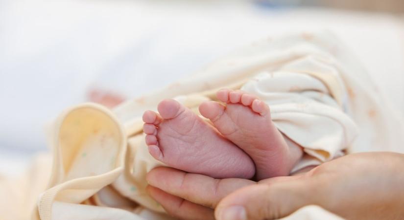 KORE: A PICi hősök esélyeit javítják, szemüveg-támogatásra és fejlesztésre is lehet pályázni