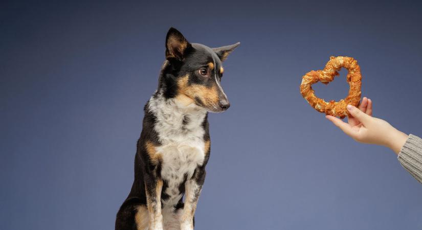 Kvíz: a legtájékozottabbak is maximum 10-ből 9 pontot tudnak elérni, pedig ez egy könnyű kvíz szeretne lenni