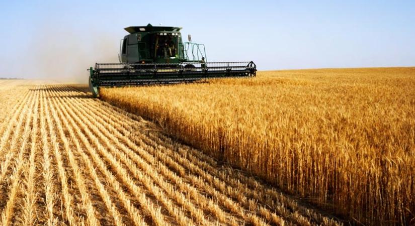 Egy bolhapiaci laptopon rajta felejtették Magyarország mezőgazdasági adatbázisát