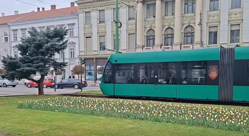 Olcsó villamosjegyekkel válaszolnának az üzemanyagár-emelkedésre egy erdélyi városban