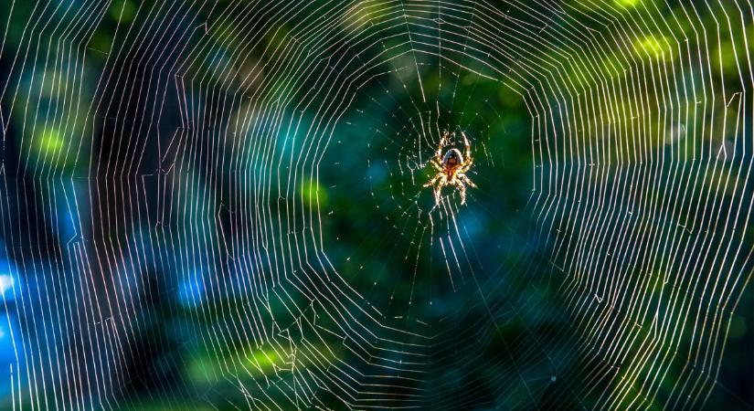 A mesterséges intelligencia és a blokklánc találkozása: az internet új kora