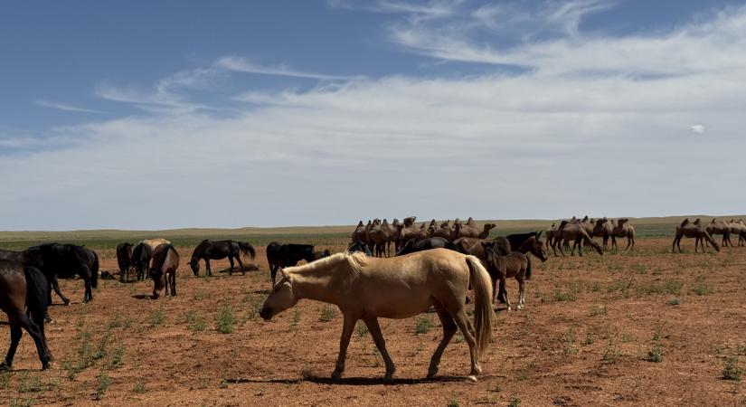 Fotók készültek arról, hogy állítólag bontják a soha meg nem nyitott kisvárdai lówellnesst