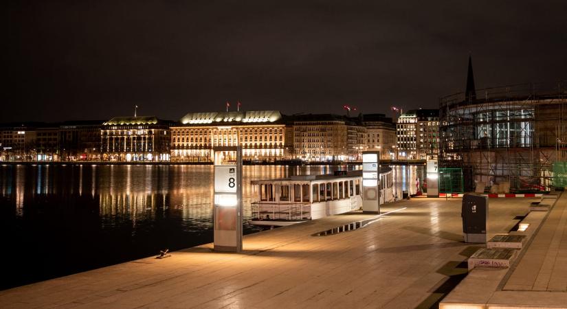 Ijedtében haraphatott a Hamburgban kószáló farkas