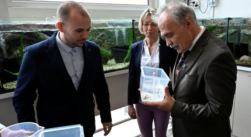 A mosonmagyaróvári gimnázium a világon az első iskola, amely szervezett fajmegőrző programot indított