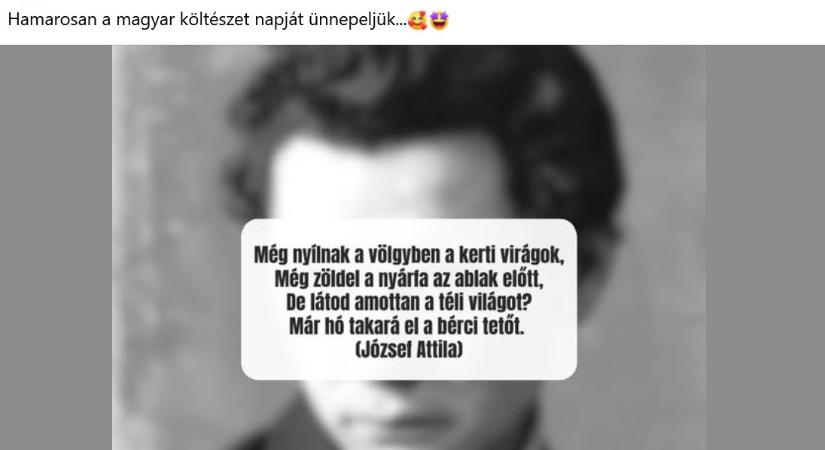 Új, ismeretlen József Attila-verset fedezett fel a közmédia a völgyben nyíló kerti virágokról, aztán sajnos gyorsan leszedték