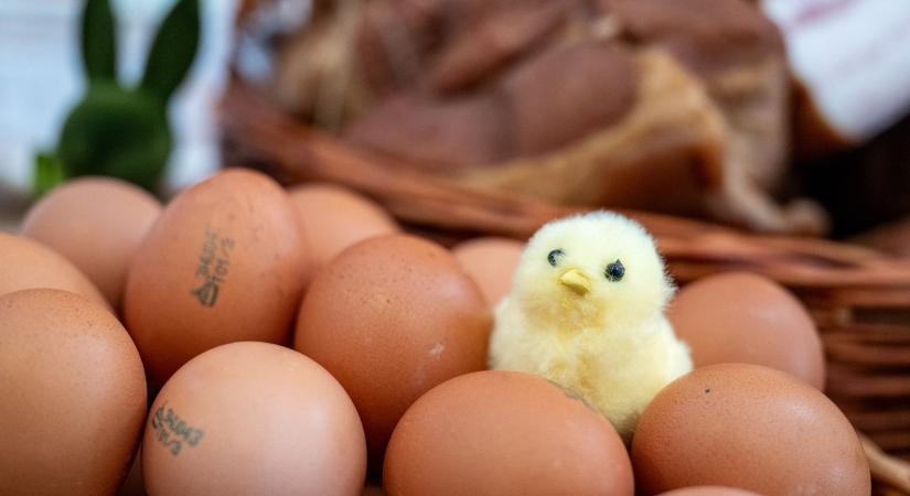 A sonkaár sem piskóta, de más élelmiszerek sem lesznek drágák húsvétra ráfordulva