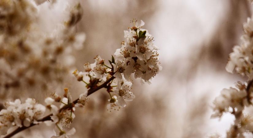 Újabb riasztás Zalában — mutatjuk, mennyire tréfál meg minket az időjárás április elsején