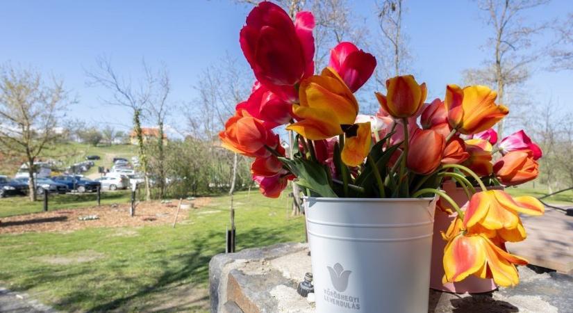 Meglepetést tartogat a húsvéti időjárás - mutatjuk!