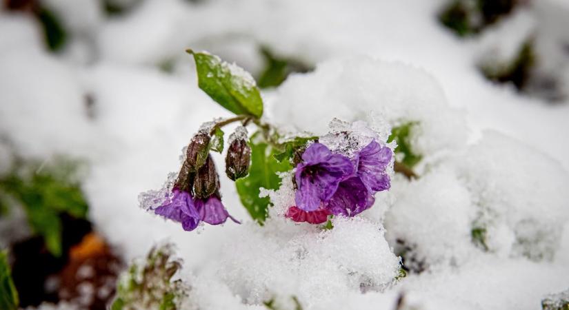 Gyönyörű fotókon és videón: hó borította Bánkutat az utolsó márciusi reggelen